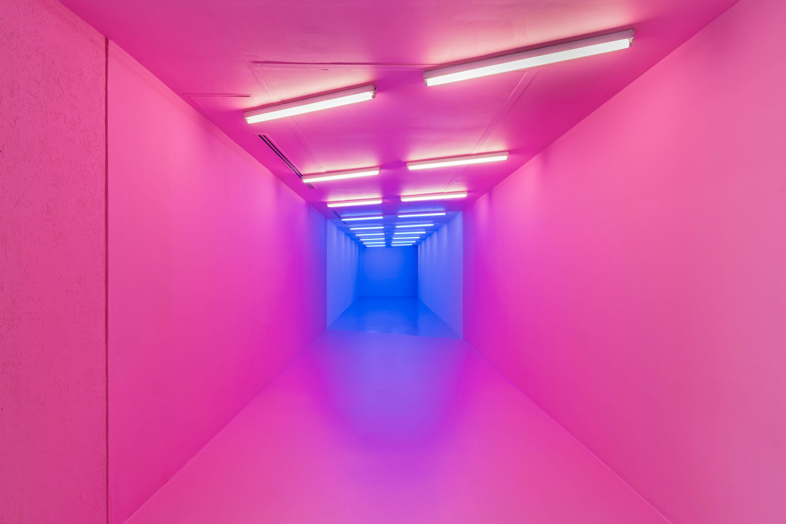 Kapwani Kiwanga uses Baker-Miller pink