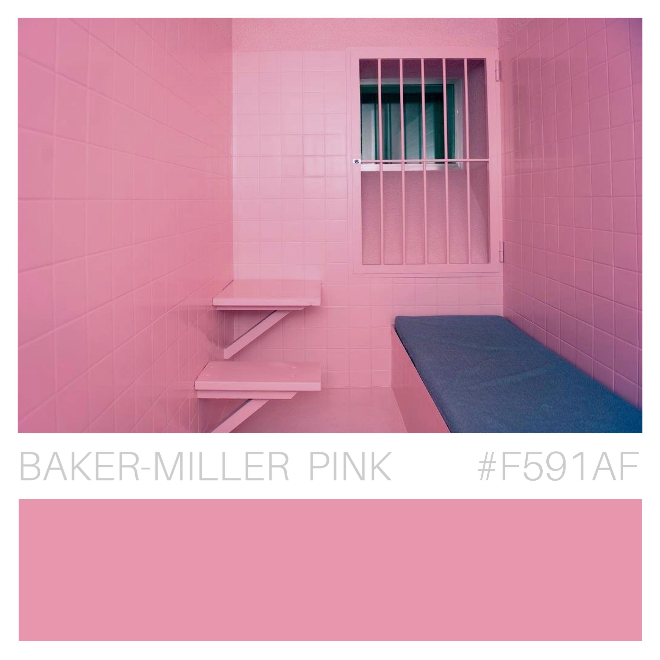 Baker- MIller pink